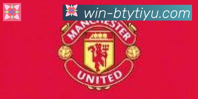 B体育官网合作伙伴